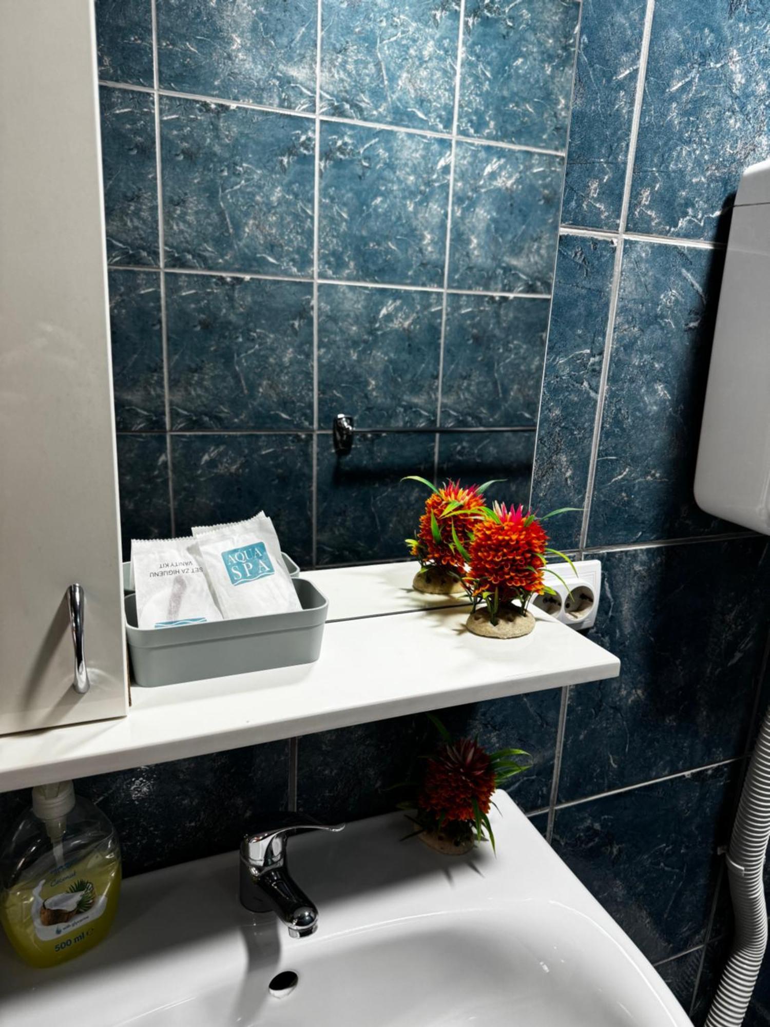 Šabac Apartments Vila Brzi & Beka מראה חיצוני תמונה